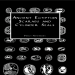 Percy Newberry - Ancient Egyptian Scarabs and Cylinder Seals [Retail]